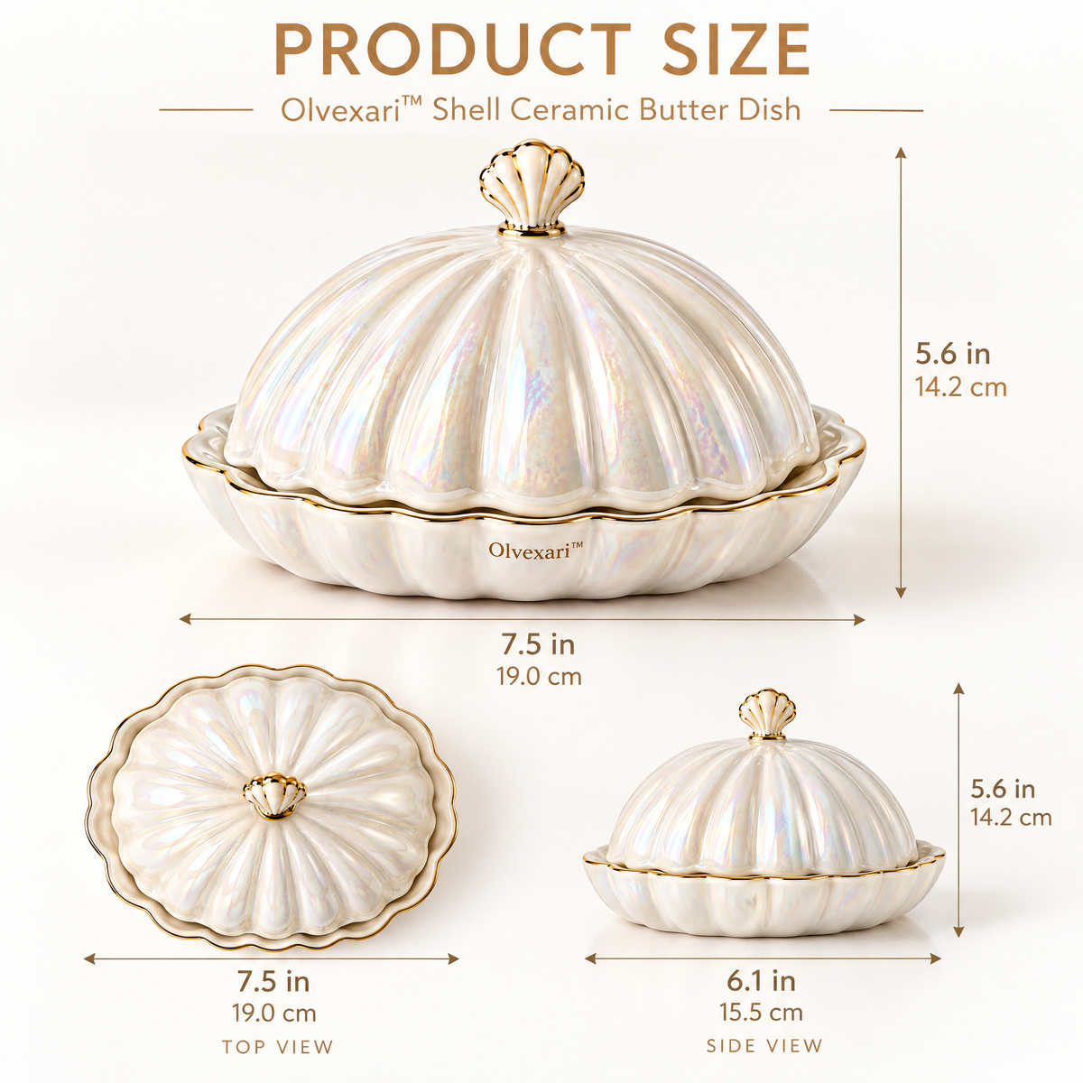 Olvexari™ Pearl Shell Sculptural Ceramic Butter Dish